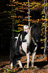 woman with Icelandic horse