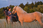 woman and 2 islancdic horses