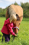 Icelandic horse