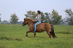 woman rides Icelandic horse