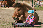 child and Icelandic horse