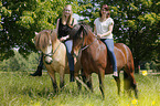 women rides Icelandic horses