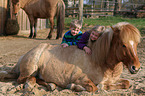 kids and Icelandic Horses