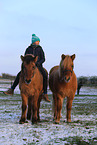 girl with Icelandic horses