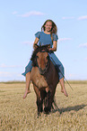 Icelandic horse