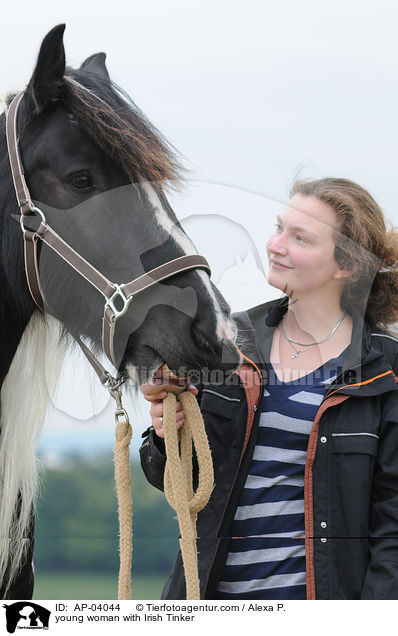 junge Frau mit Irish Tinker / young woman with Irish Tinker / AP-04044