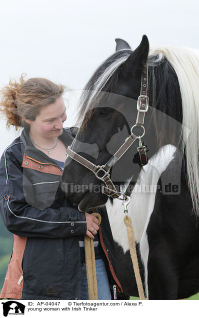 junge Frau mit Irish Tinker / young woman with Irish Tinker / AP-04047