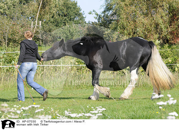 Frau mit Irish Tinker / woman with Irish Tinker / AP-07030