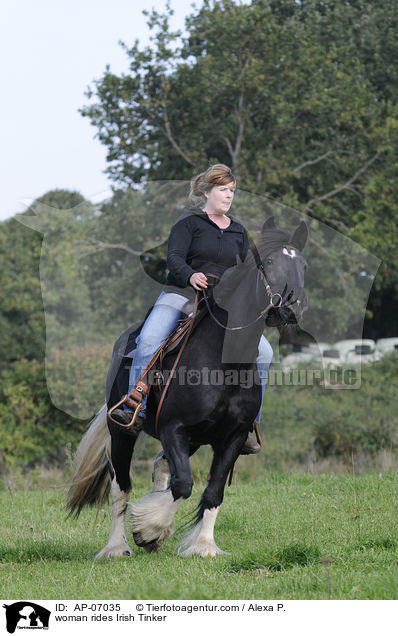 woman rides Irish Tinker / AP-07035
