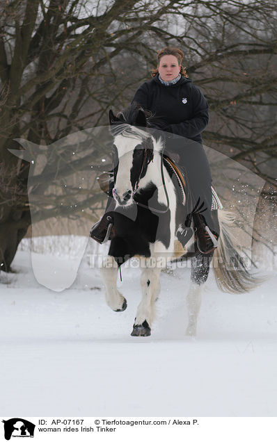 Frau reitet Irish Tinker / woman rides Irish Tinker / AP-07167