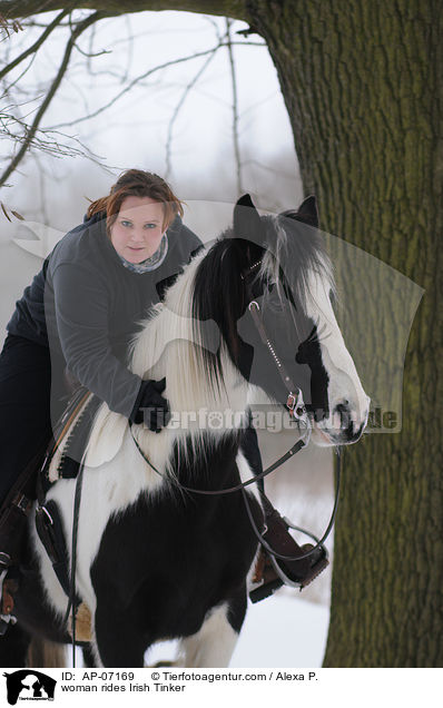 Frau reitet Irish Tinker / woman rides Irish Tinker / AP-07169