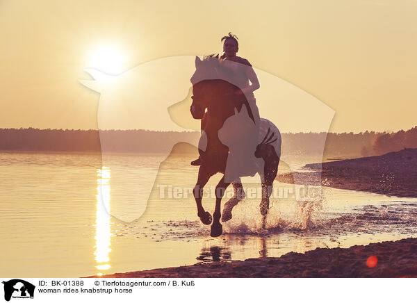 woman rides knabstrup horse / BK-01388