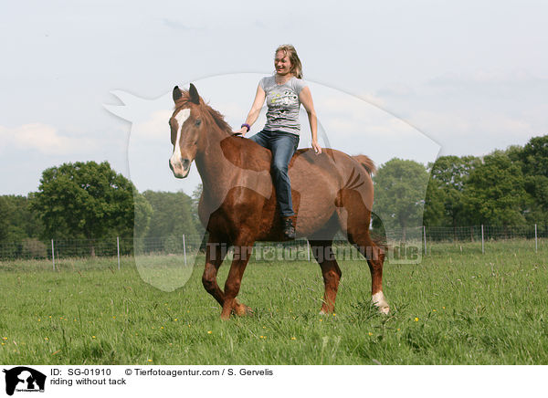 reiten ohne Sattel und Zaumzeug / riding without tack / SG-01910