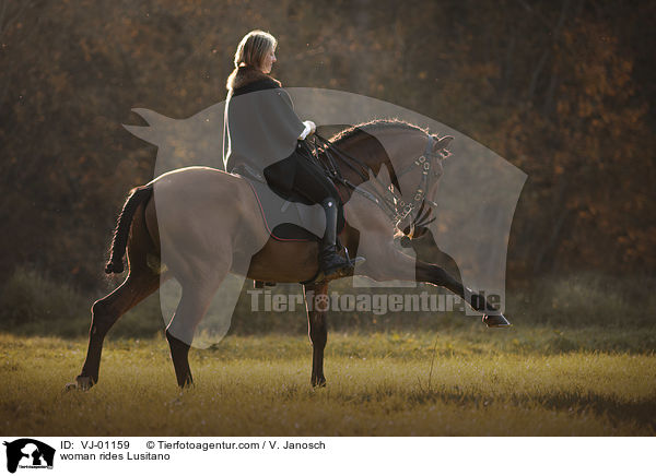 Frau reitet Lusitano / woman rides Lusitano / VJ-01159