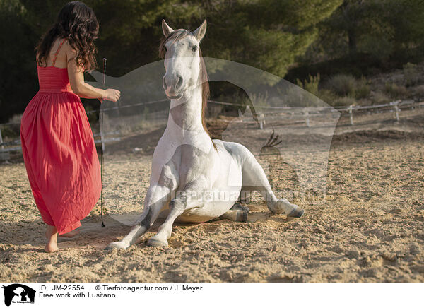 Freiarbeit mit Lusitano / Free work with Lusitano / JM-22554