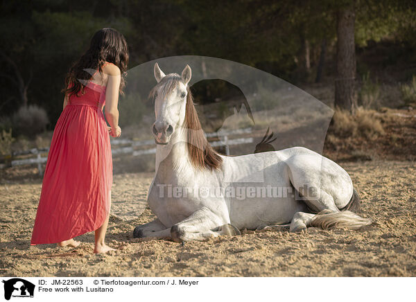 Freiarbeit mit Lusitano / Free work with Lusitano / JM-22563