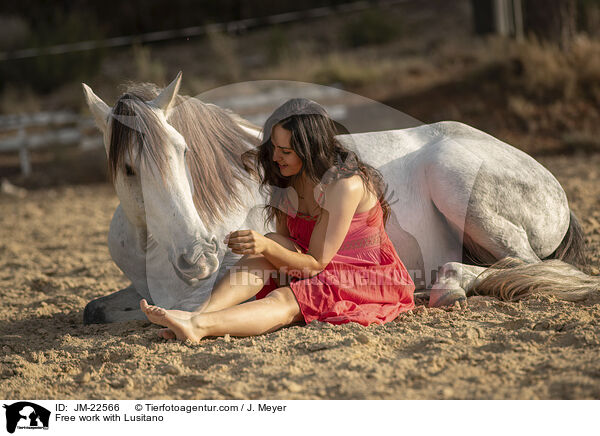 Freiarbeit mit Lusitano / Free work with Lusitano / JM-22566