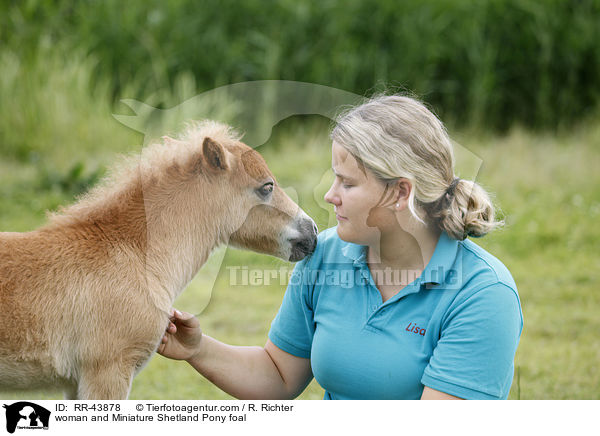 Frau und Mini Shetland Pony Fohlen / woman and Miniature Shetland Pony foal / RR-43878