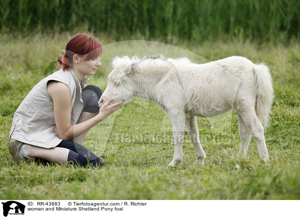 Frau und Mini Shetland Pony Fohlen / woman and Miniature Shetland Pony foal / RR-43883