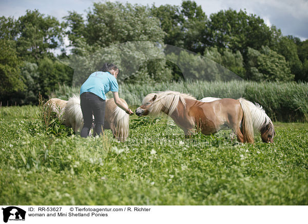 Frau und Mini Shetland Ponies / woman and Mini Shetland Ponies / RR-53627