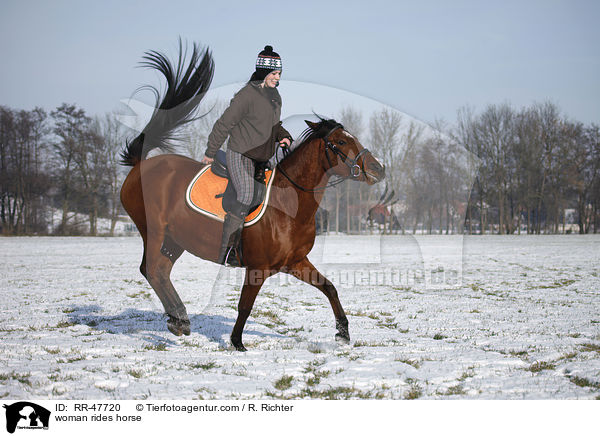 Frau reitet Araber-Mix / woman rides horse / RR-47720