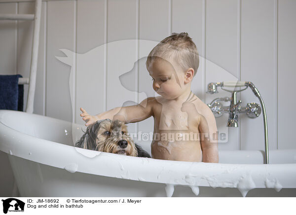 Dog and child in bathtub / JM-18692