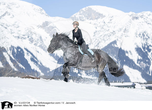 Frau reitet Noriker / woman rides Noriker Horse / VJ-03134