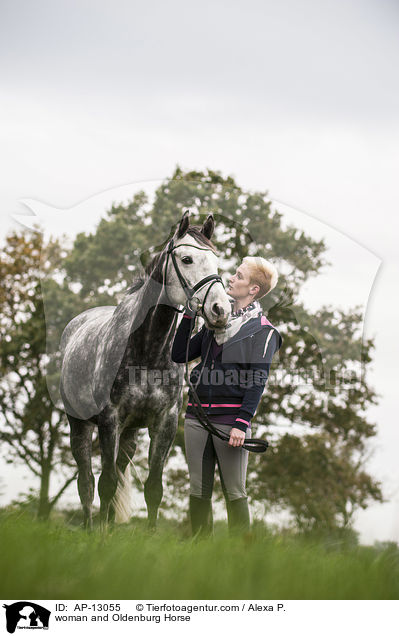 Frau und Oldenburger / woman and Oldenburg Horse / AP-13055