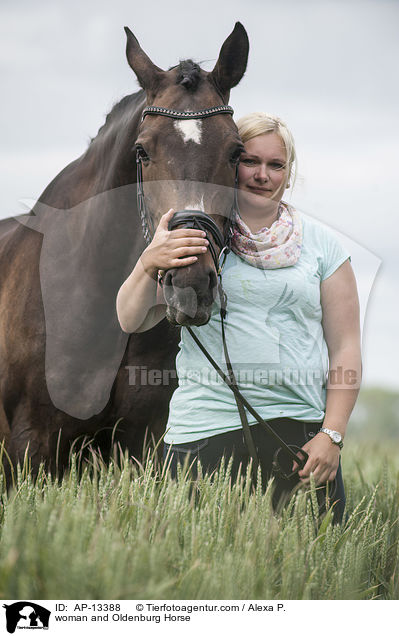 Frau und Oldenburger / woman and Oldenburg Horse / AP-13388
