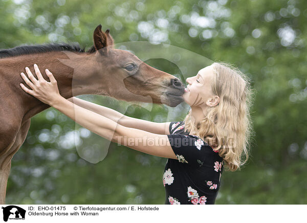 Oldenburger mit Frau / Oldenburg Horse with Woman / EHO-01475
