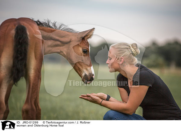 Frau und Oldenburger Fohlen / woman and Oldenburg Horse foal / JRO-01299