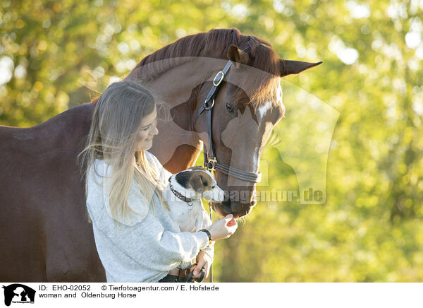 woman and  Oldenburg Horse / EHO-02052