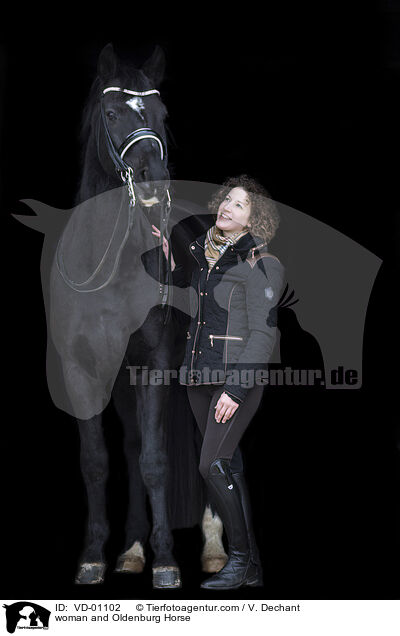 Frau und Oldenburger / woman and Oldenburg Horse / VD-01102