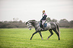 woman rides Oldenburg Horse