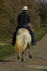 woman rides Paso Fino