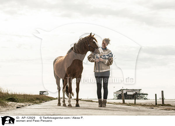 Frau und Paso Peruano / woman and Paso Peruano / AP-12929