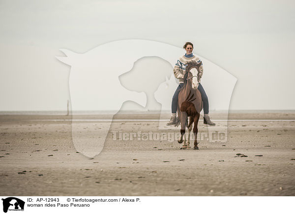 Frau reitet Paso Peruano / woman rides Paso Peruano / AP-12943