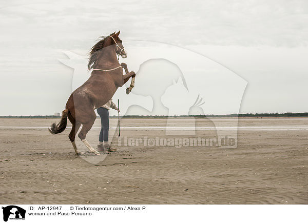 Frau und Paso Peruano / woman and Paso Peruano / AP-12947