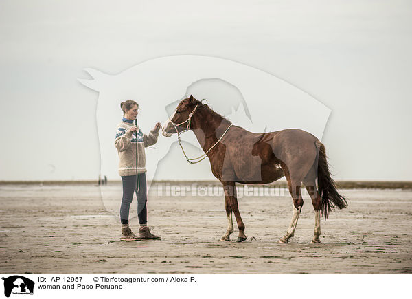 Frau und Paso Peruano / woman and Paso Peruano / AP-12957