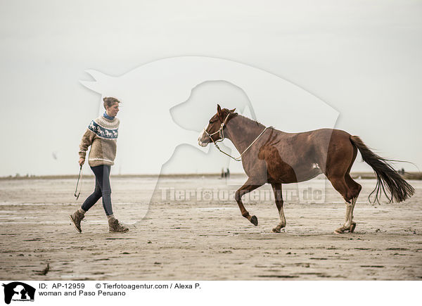 Frau und Paso Peruano / woman and Paso Peruano / AP-12959