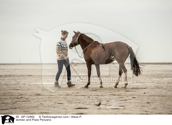 Frau und Paso Peruano / woman and Paso Peruano / AP-12960