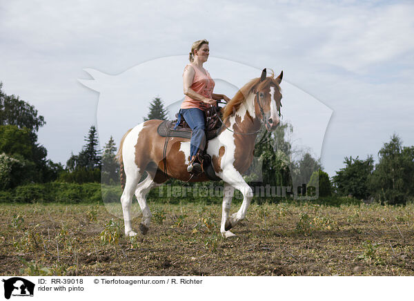 Reiterin auf Pinto / rider with pinto / RR-39018