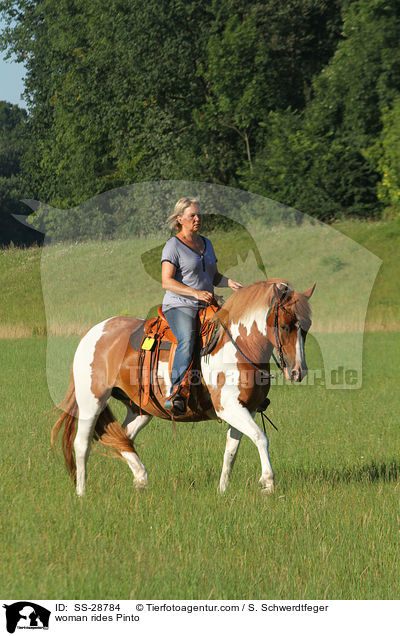 woman rides Pinto / SS-28784