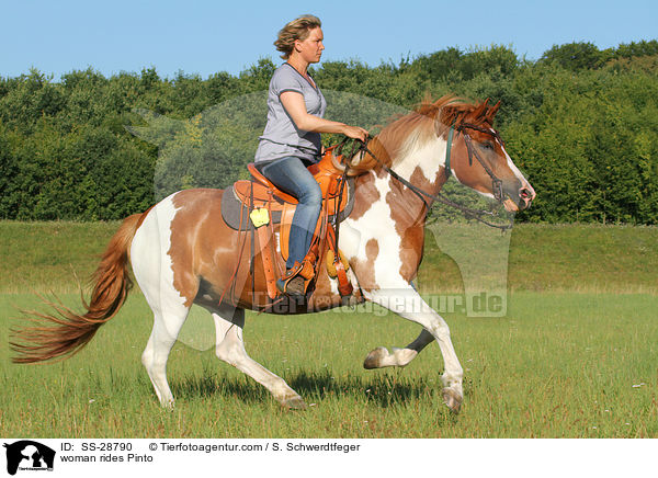 Frau reitet Pinto / woman rides Pinto / SS-28790