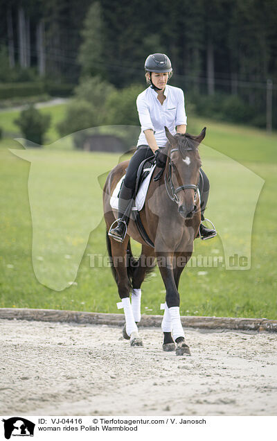 Frau reitet Polnisches Warmblut / woman rides Polish Warmblood / VJ-04416