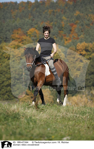 Frau reitet Islnder-Haflinger-Mix / woman rides crossbreed / RR-47394