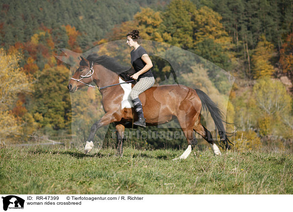 Frau reitet Islnder-Haflinger-Mix / woman rides crossbreed / RR-47399