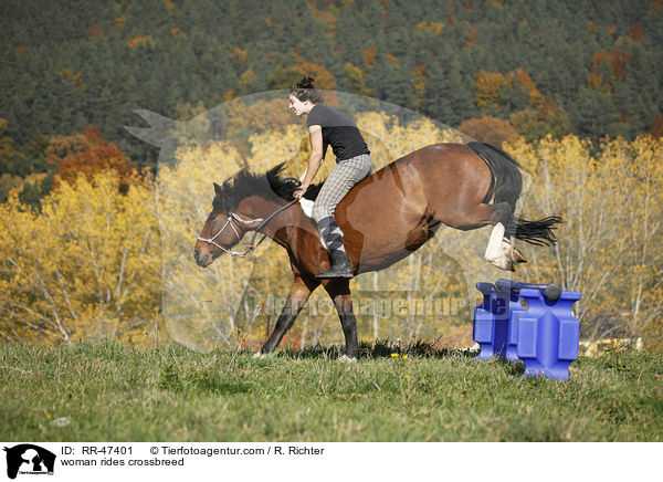 Frau reitet Islnder-Haflinger-Mix / woman rides crossbreed / RR-47401