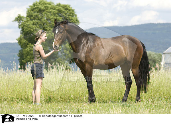 Frau und PRE / woman and PRE / TM-02923