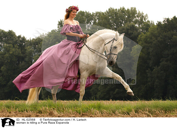 Pura Raza Espanola mit Reiterin / woman is riding a Pura Raza Espanola / HL-02568